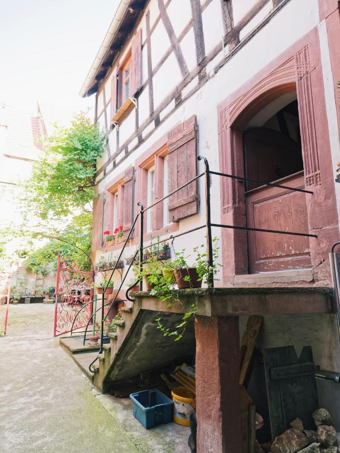 Le Haut Relais Des Seigneurs - 5 Mn Royal Palace De Kirrwiller Bouxwiller  Zewnętrze zdjęcie